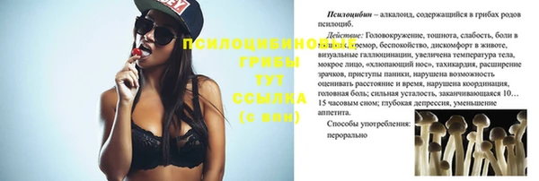 Альфа ПВП Вязники