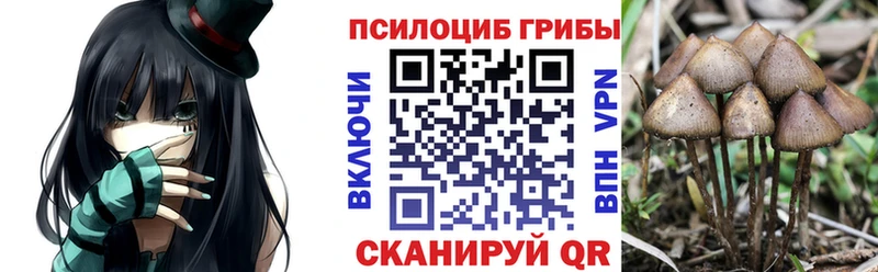 Галлюциногенные грибы Magic Shrooms Купить закладки Кировск